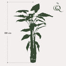 Art plant - Alocasia - Elephants ear - 180 cm by Green boutiQ