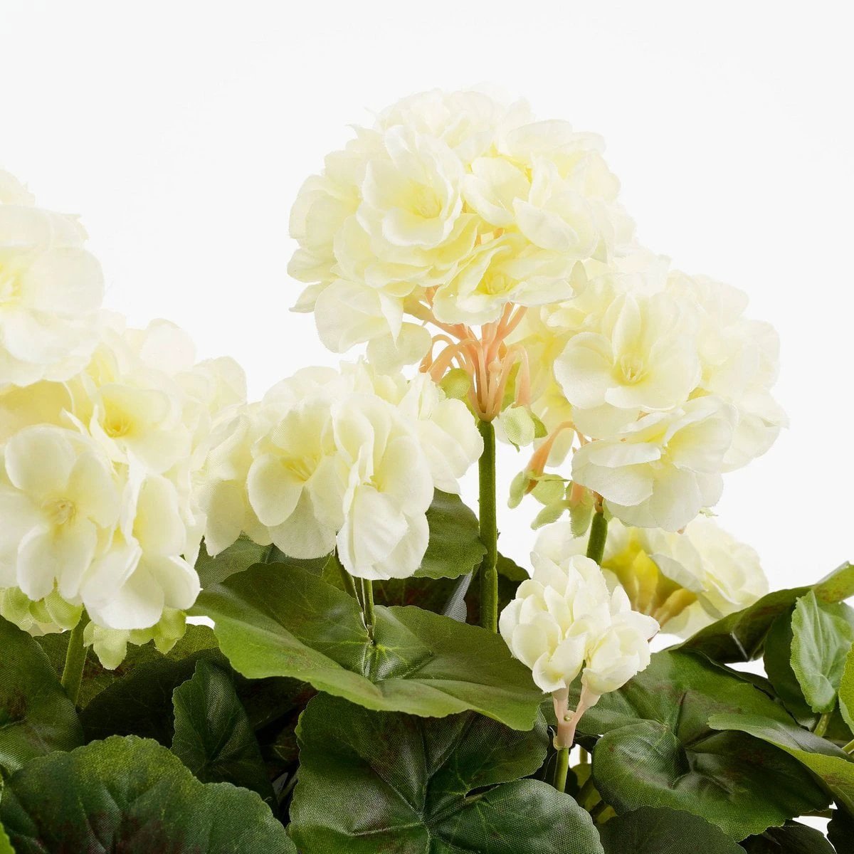 Artificial Plant Geranium Wit by Mica Decorations
