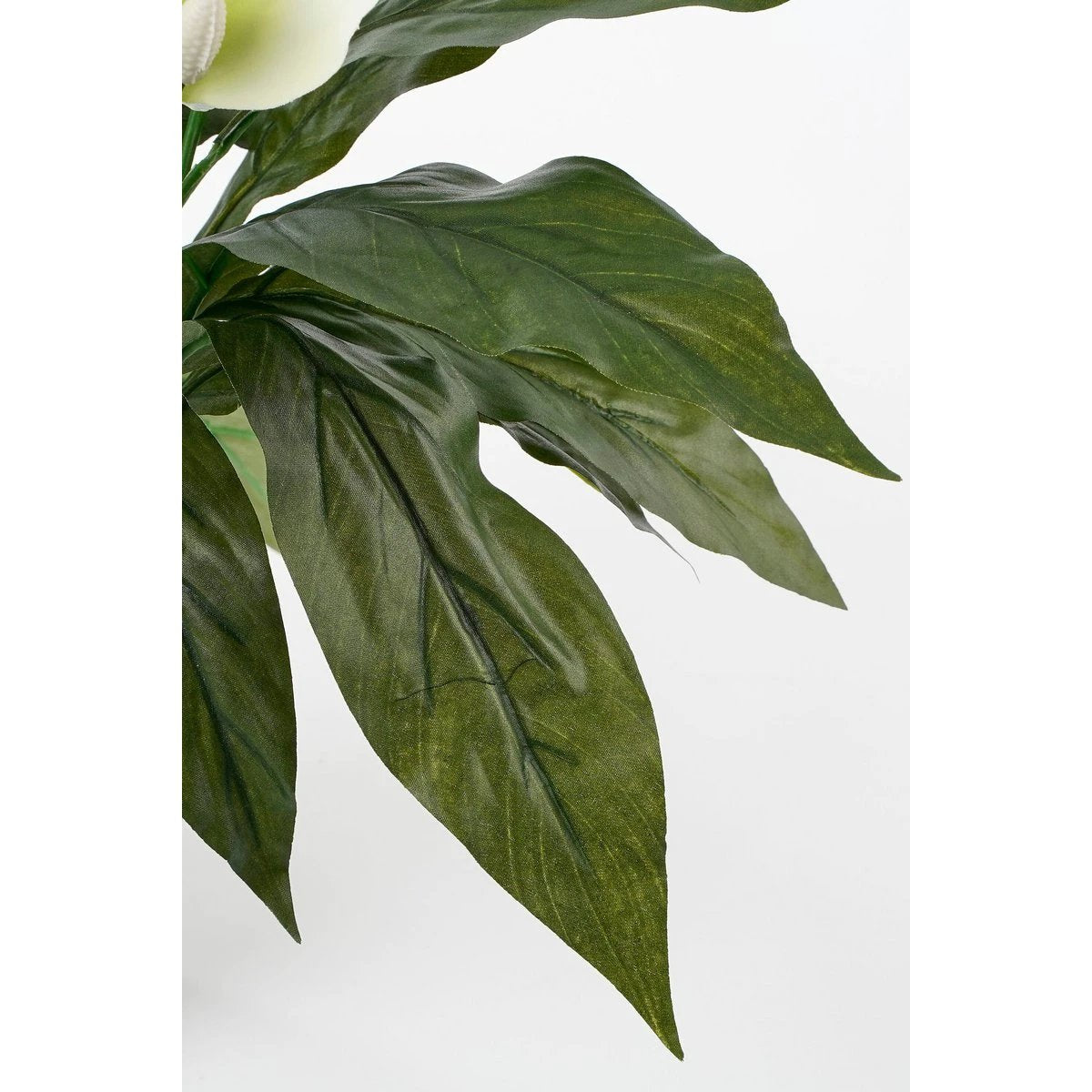 Artificial plant Spathiphyllum White by Mica Decorations