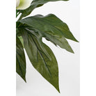 Artificial plant Spathiphyllum White by Mica Decorations