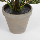 Artificial plant Croton Green by Mica Decorations
