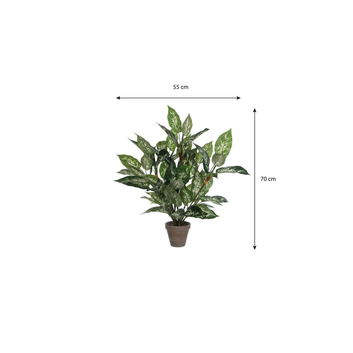 Artificial plant Dieffenbachia Green by Mica Decorations