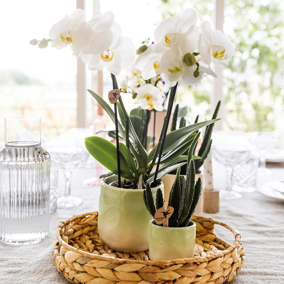 Kolibri Home | Gradience sierpot - Green - Ø9cm by Kolibri Company