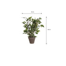 Artificial plant Ficus natasja Green by Mica Decorations