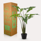Artificial plant - Alocasia Frydek - Elephant's ear - 120 cm by Green boutiQ