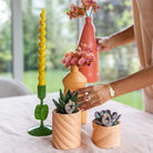 Hummingbird Home | Candy decorative pot | High - Peach - Ø6cm by Kolibri Company