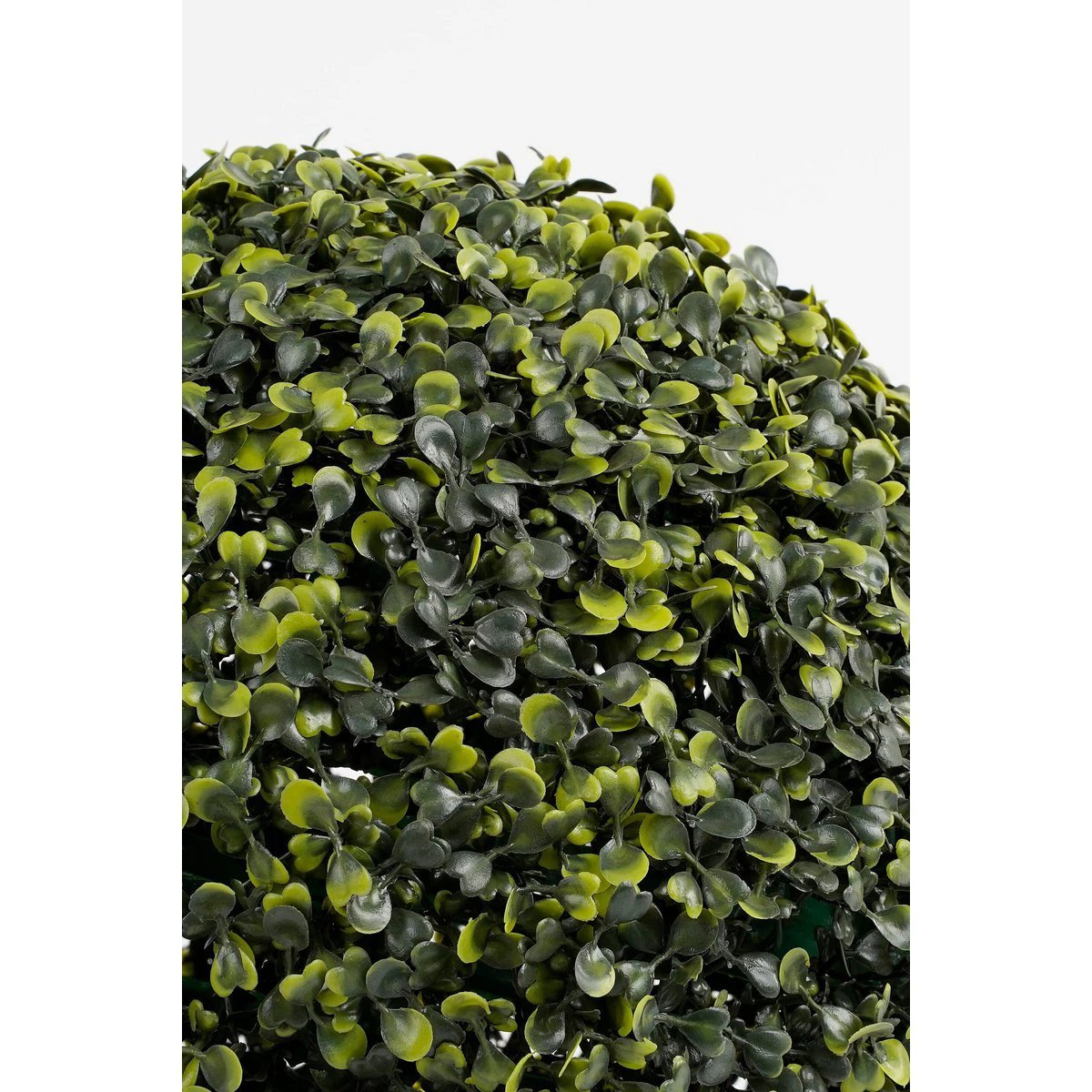 Artificial plant Boxwood ball Green by Mica Decorations
