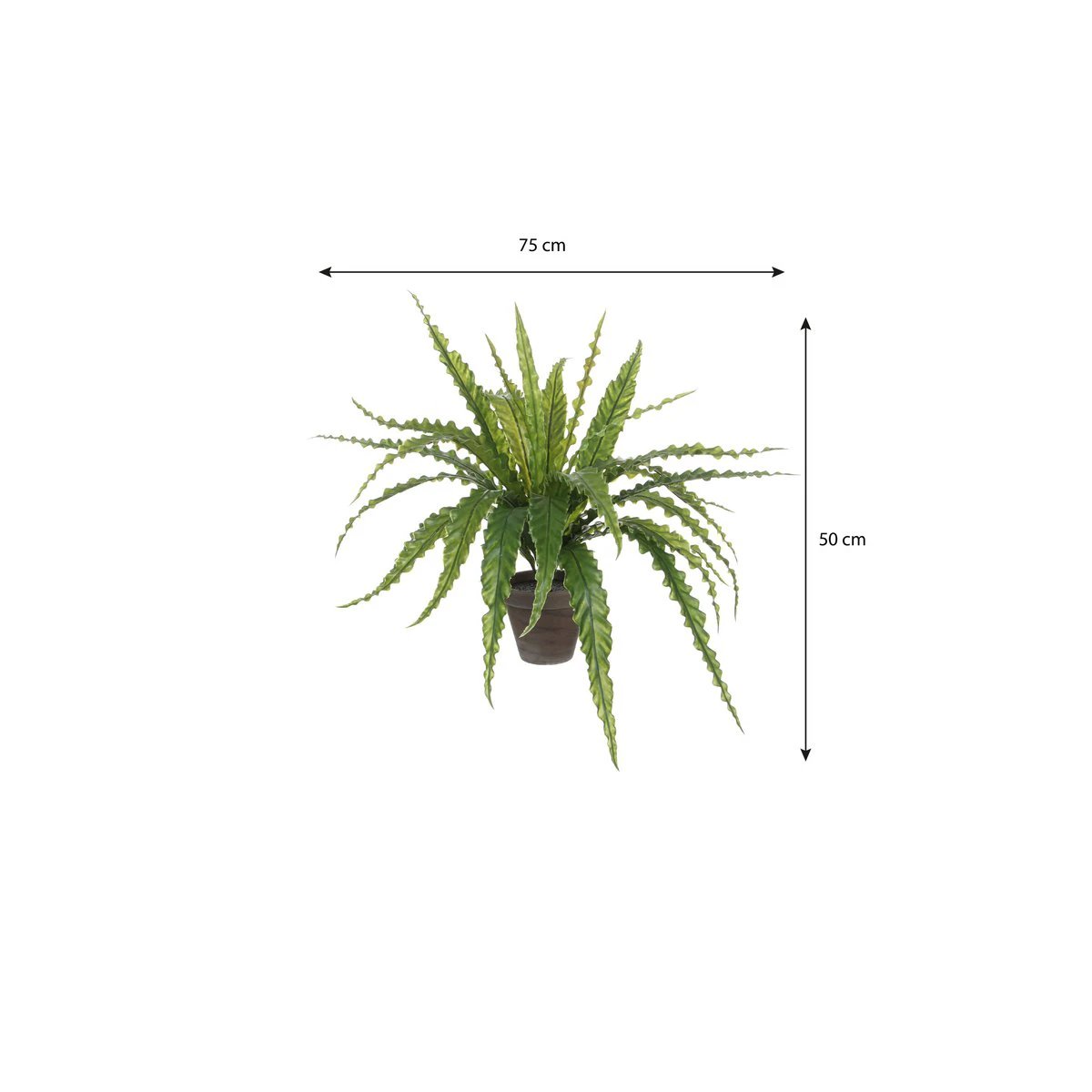 Artificial plant Asplenium Green by Mica Decorations
