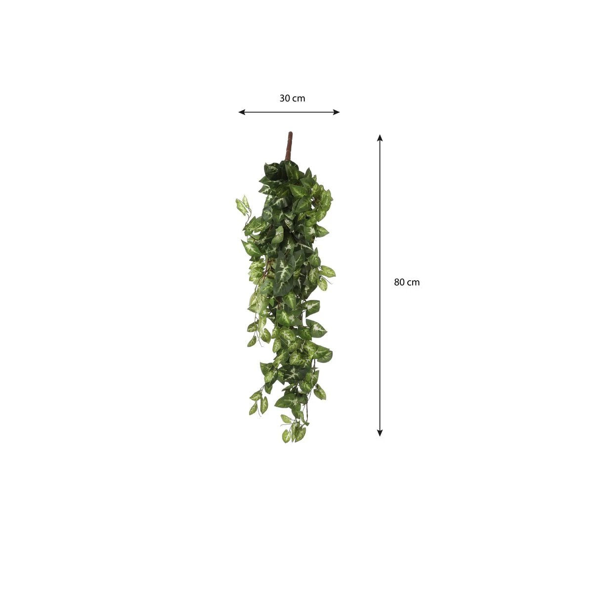Artificial hanging plant Fittonia Green by Mica Decorations