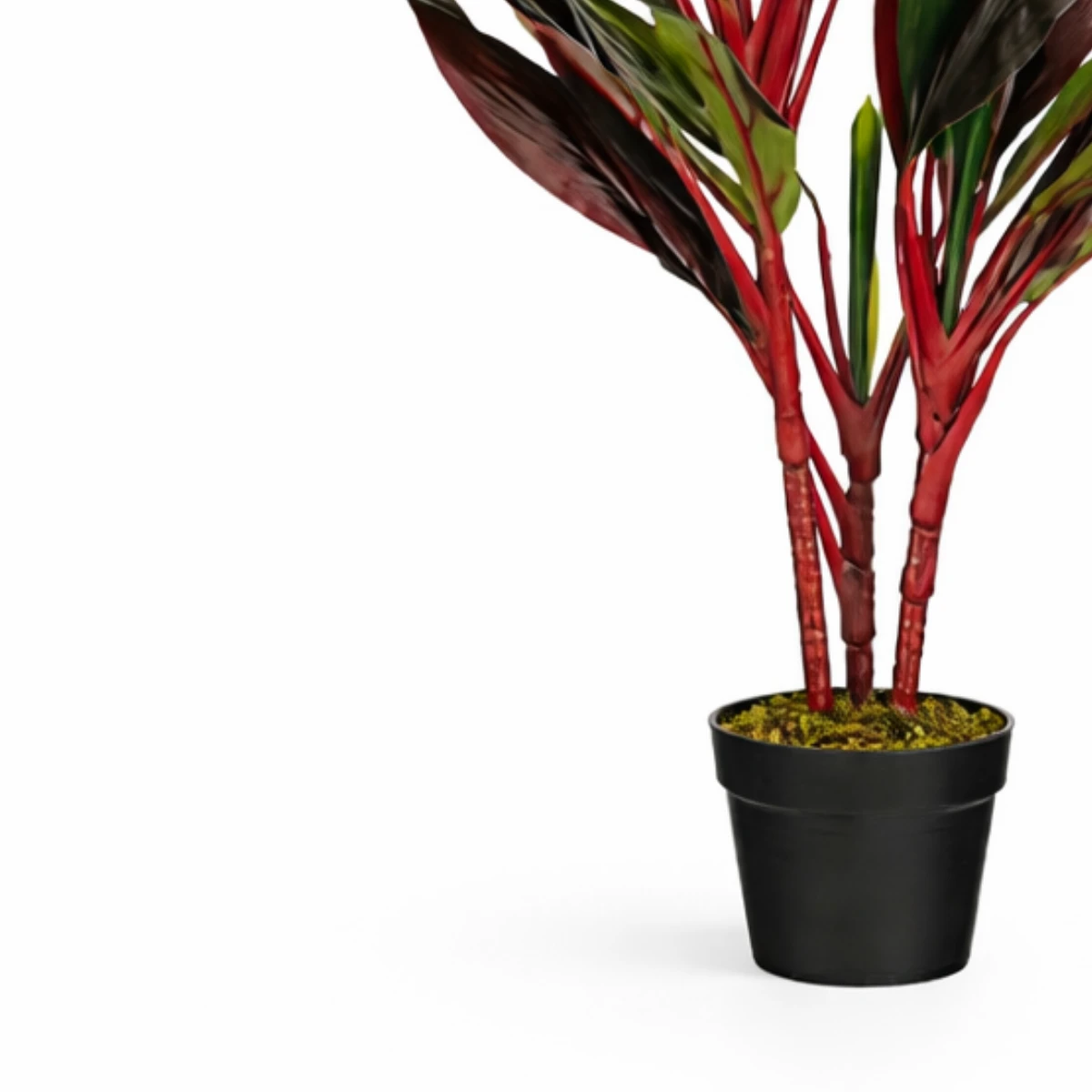 Artificial plant Cordyline Red by Mica Decorations