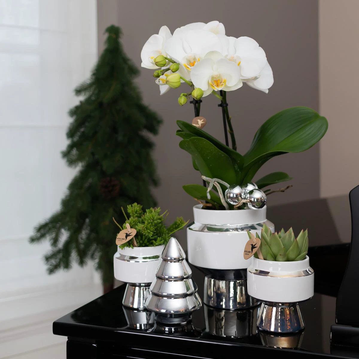 Hummingbird Home | Le Chic flower pot - White ceramic decorative pot with silver details - Ø6cm by Kolibri Company