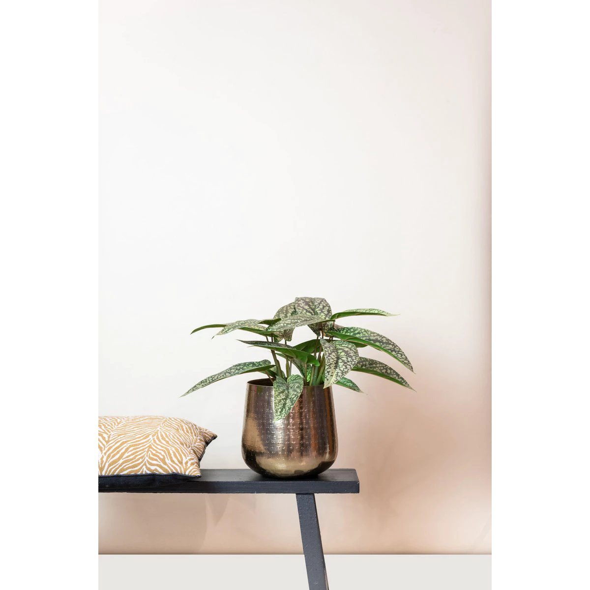 Kunstpflanze – Calathea Dots – Schattenpflanze – 38 cm von Green boutiQ