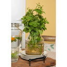 Vase Ø 14x20 cm glass glass vase by Clayre & Eef.