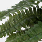 Artificial plant Boston fern Green by Mica Decorations