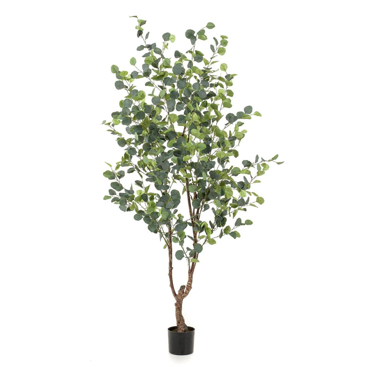 Artificial plant - Eucalyptus - Blue Gum Tree - 180 cm by Green boutiQ