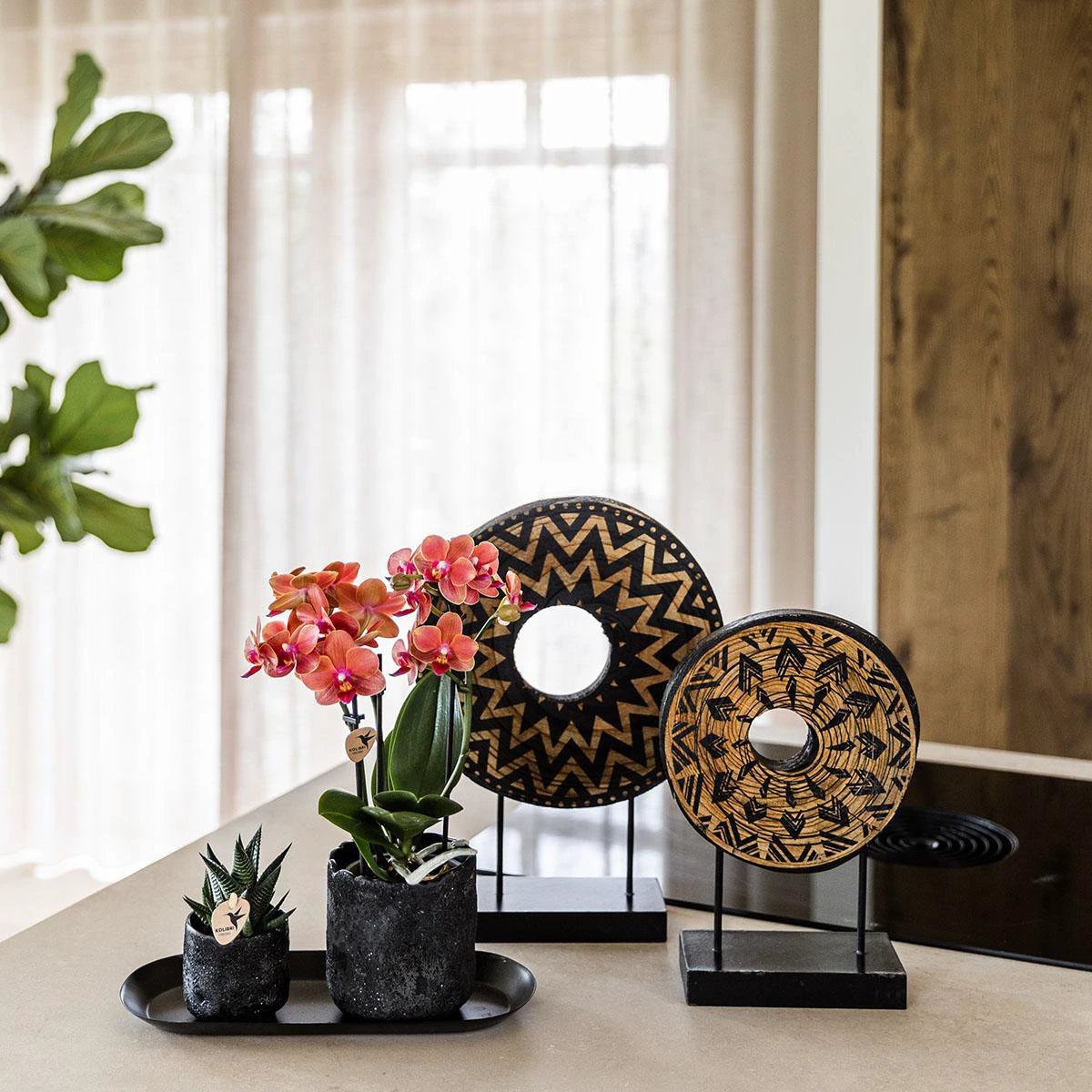 Kolibri Home | Moon sierpot - Black - Ø9cm by Kolibri Company