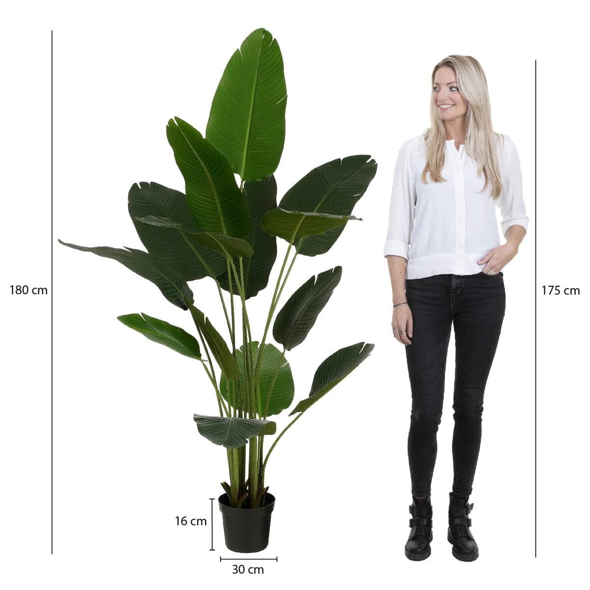 Artificial plant Green by Mica Decorations