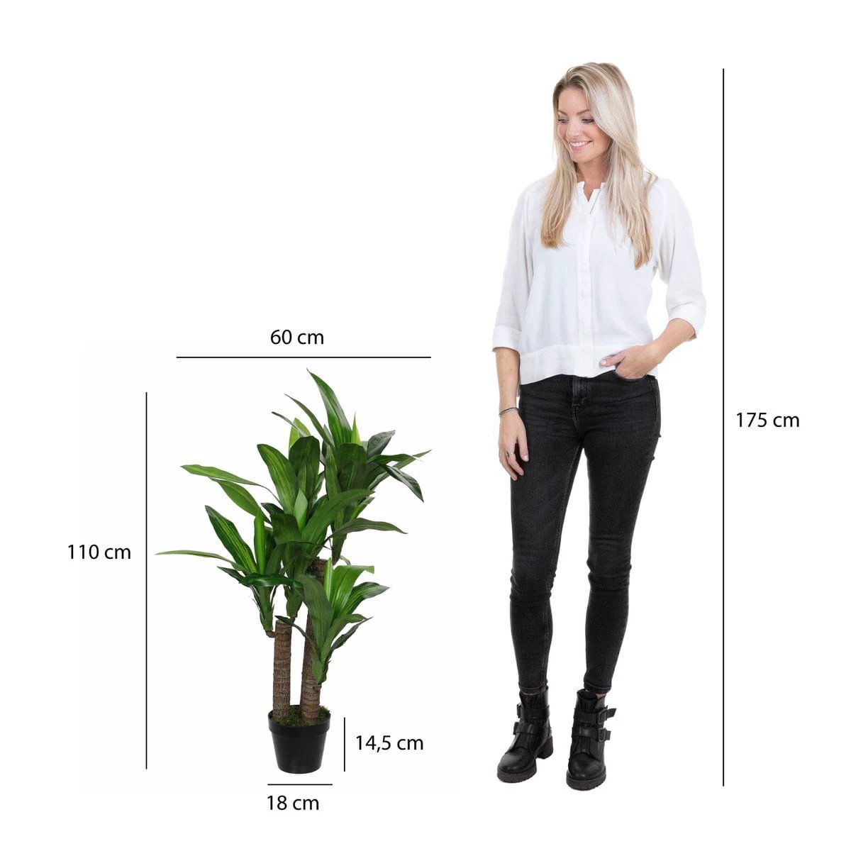 Artificial plant Dracaena Green by Mica Decorations