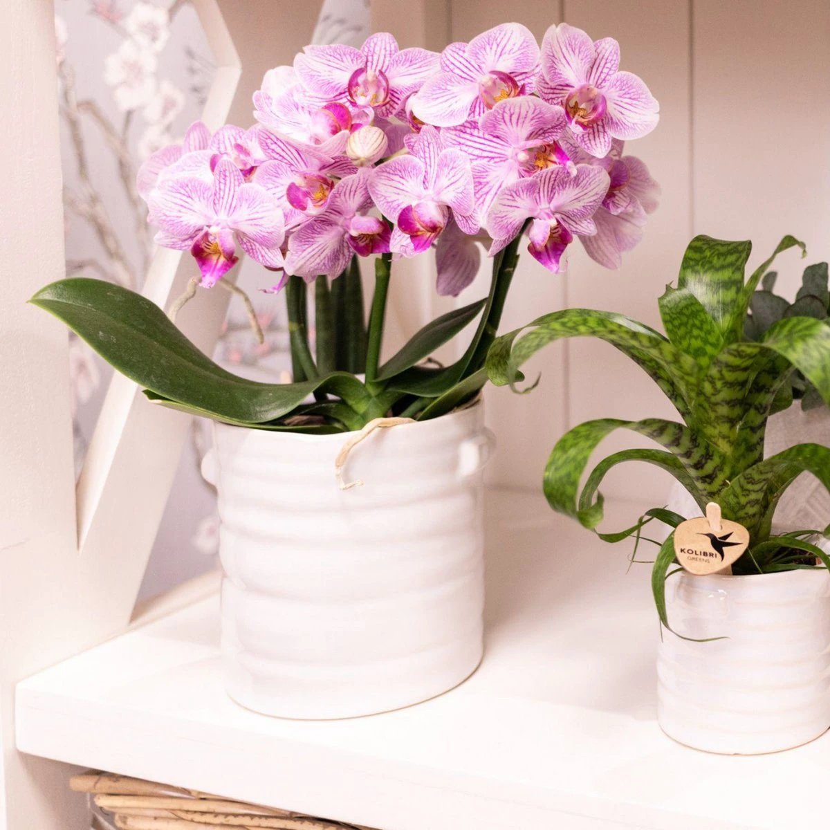 Hummingbird Home | Jug flower pot - White ceramic decorative pot Ø9cm by Kolibri Company