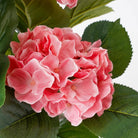Artificial plant Hydrangea Pink by Mica Decorations
