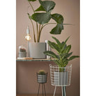 Flowerpot indoors Era Light Gray by Mica Decorations