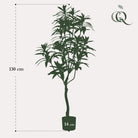 Art plant - Dracaena - Dragon tree - 130 cm by Green boutiQ