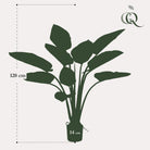 Art Plant - Philodendron - 120 cm by Green boutiQ