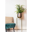 Kunstpflanze – Nephrolepis Exaltata – Bostonfarn – 70 cm von Green boutiQ