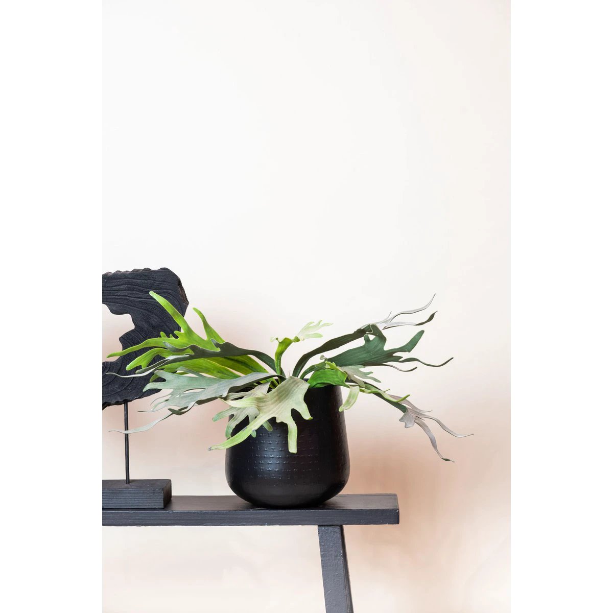 Kunstpflanze – Geweihfarn – Staghorn – 33 cm von Green boutiQ
