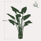 Art plant - Colocasia Pink China - Elephants ear - 130 cm by Green boutiQ