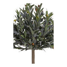 Olive Tree - Green, PE Plastic/Polyester, 43x47x120 cm by EMIRELLE