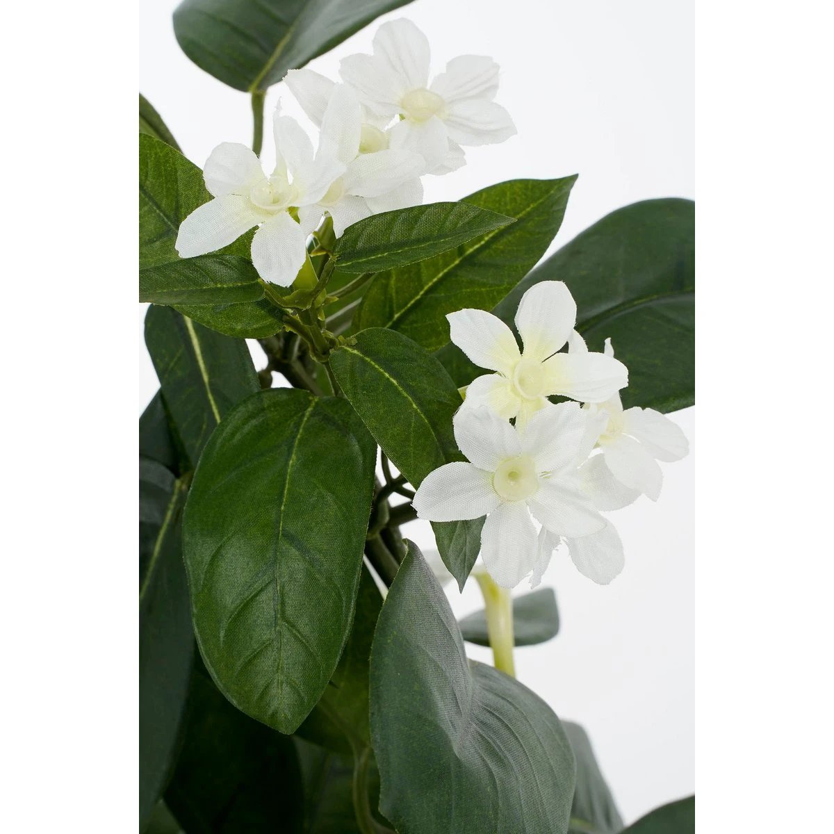 Kunstplant Stephanotis Wit by Mica Decorations