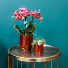 Hummingbird Home | Classy red - Ø9cm by Kolibri Company