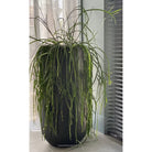 Plantenpot - Idaho black by Vase The World