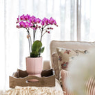 Hummingbird Home | Diabolo pot pink - Ø12cm by Kolibri Company