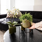 Hummingbird Home | Plant stand - Black metal plant raiser Ø12cm by Kolibri Company