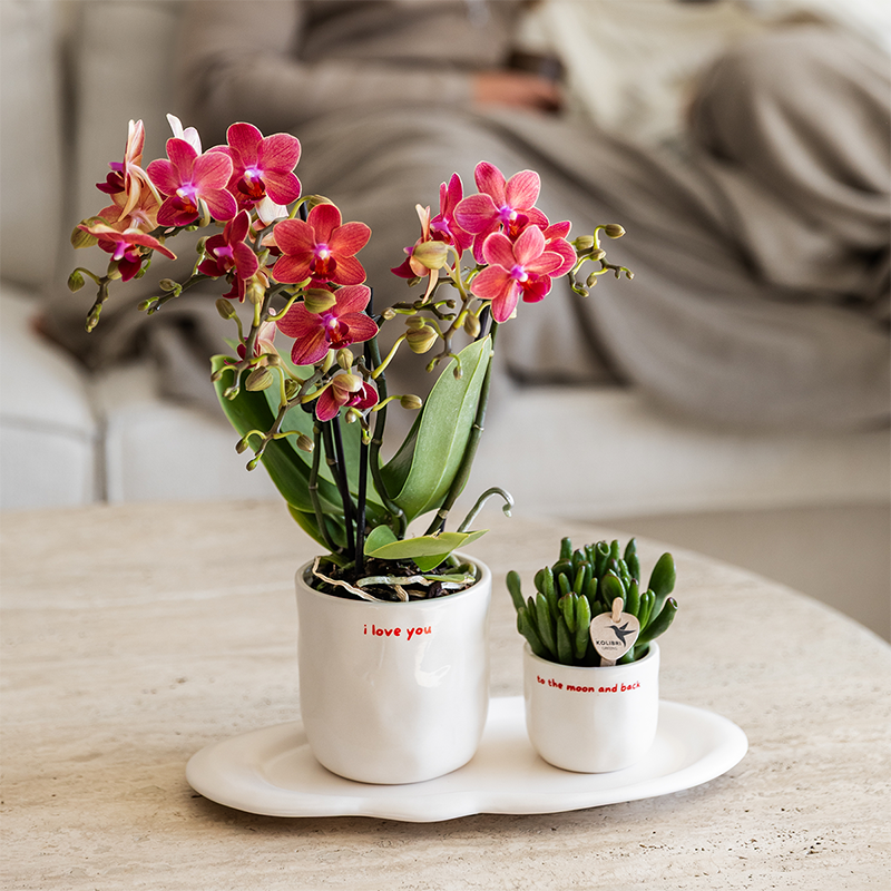 Kolibri Home | I love you sierpot - Ø9cm by Kolibri Company