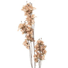 Artificial flower 120 cm Beige Plastic by Clayre & Eef.