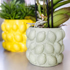 Kolibri Home | Zitrustopf grün – Ø9 cm von Kolibri Company