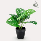 Artificial plants - Monstera Monkey - Hole plant - 29 cm by Green boutiQ