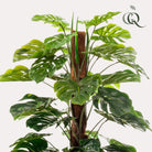 Monstera Deliciosa – Kunstpflanze – 150 cm von Green boutiQ