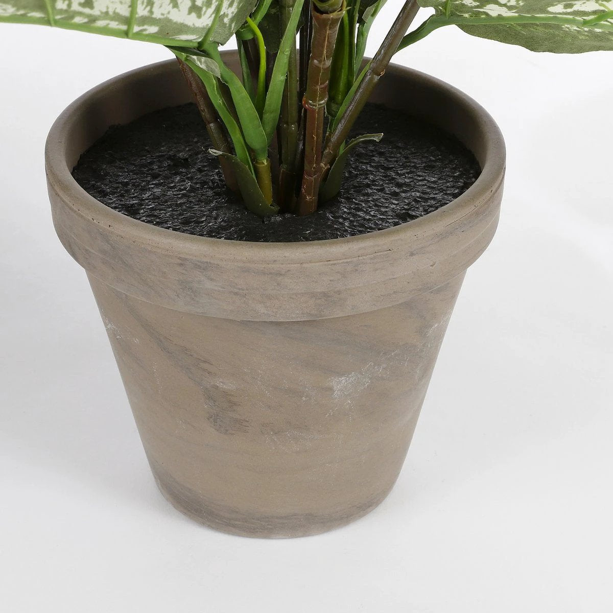 Artificial plant Dieffenbachia Green by Mica Decorations