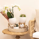 Hummingbird Home | Bowl flower pot - White ceramic decorative pot - pot size Ø9cm by Kolibri Company
