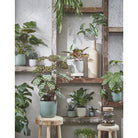 Flowerpot inside Daan Wit by Mica Decorations