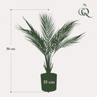 Art plant - Chamaedorea - Bergpalm - 50 cm by Green boutiQ
