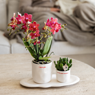 Kolibri Home | I love you sierpot - Ø6cm by Kolibri Company