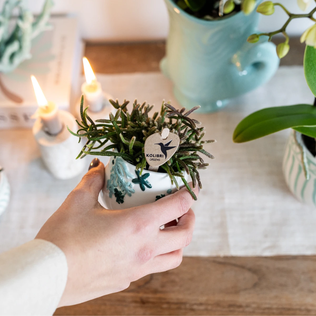 Kolibri Home | Coral - Blue - Ø6cm by Kolibri Company