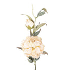 Artificial flower 78 cm Beige Plastic by Clayre & Eef.