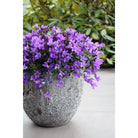 Plantenpot - Laki oceanic coral set Ø36/25 x H34/25 cm - (set van 2) by Vase The World