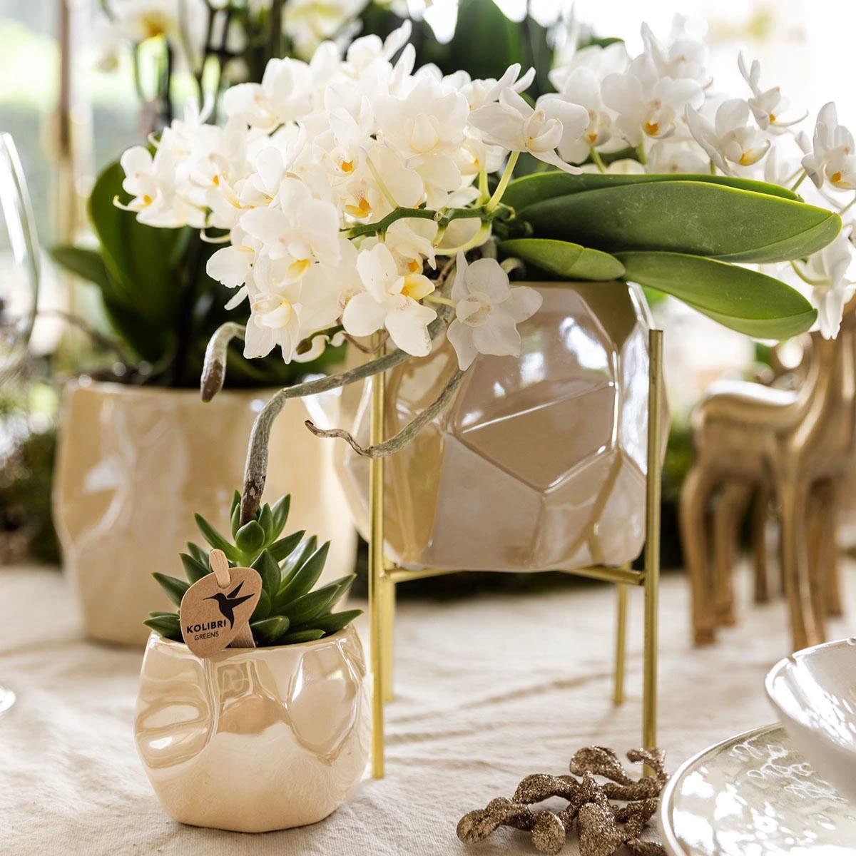 Kolibri Home | Combi deal - Pearl travertine potten by Kolibri Company